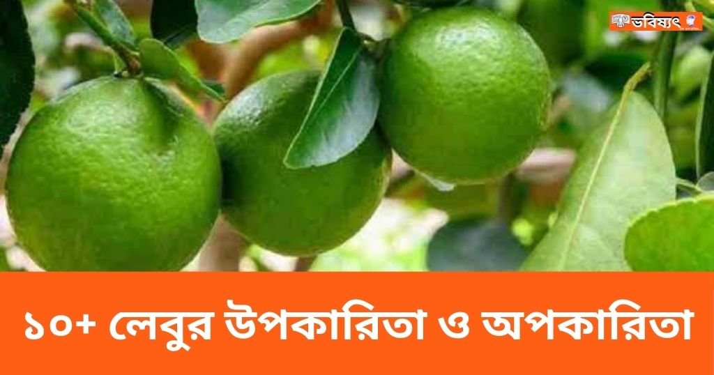 লেবুর উপকারিতা ও অপকারিতা