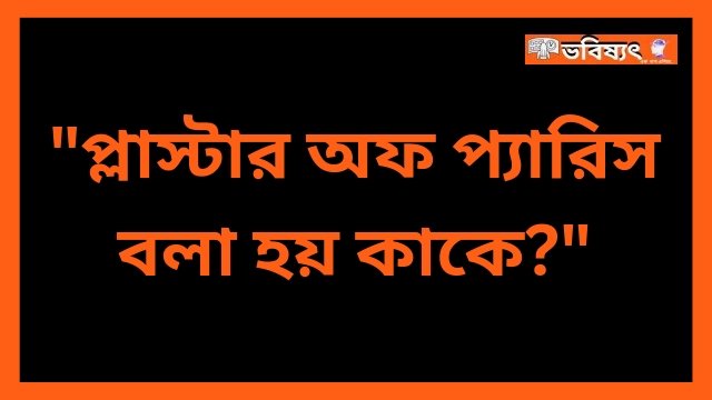 প্লাস্টার অফ প্যারিস বলা হয় কাকে?