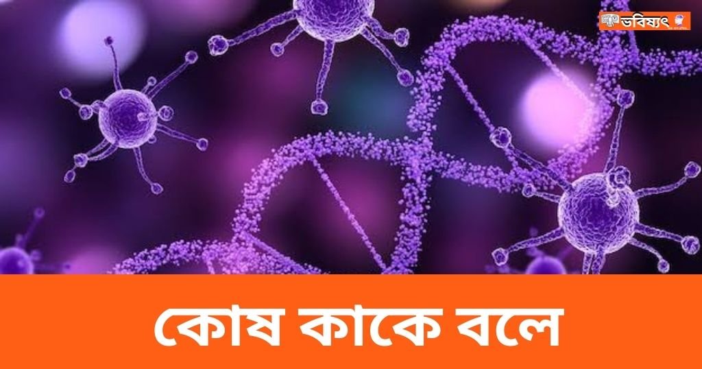 কোষ কাকে বলে