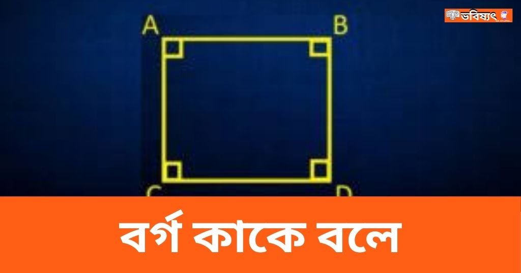 বর্গ কাকে বলে